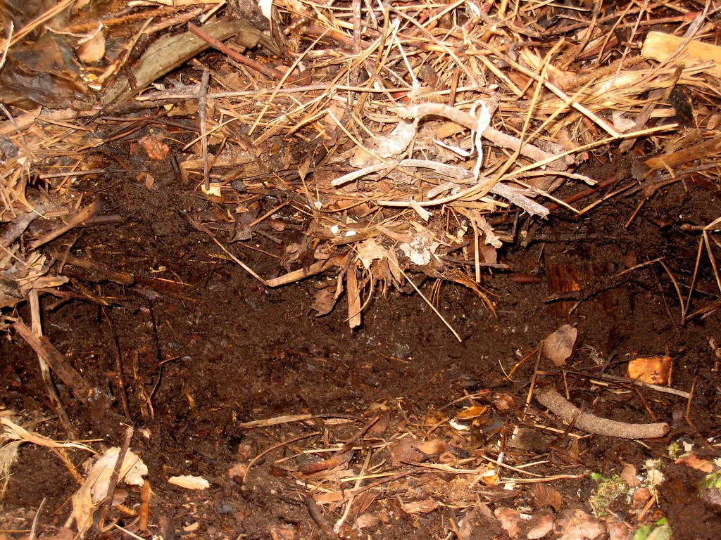 Manufactured topsoil, sold in bulk by Brimfield Aggregate in Brimfield, Ohio